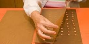 Seed Germination Paper