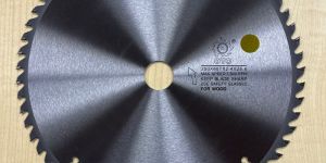 OTO TCT Blade 10X60TX2.4 mm