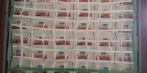 Polyester Truck Cargo Net