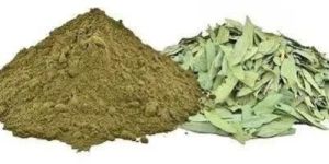 Senna Extract