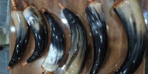 Powder Horn with Wooden Cup