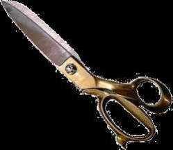 Tailor Scissors