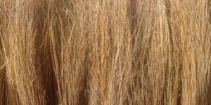 Coconut Broom Stick