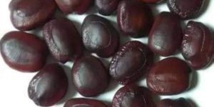 Tamarind Seeds