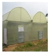 Ventilated Polyhouse