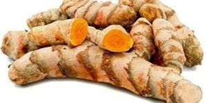 Raw Turmeric