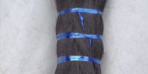 Black Dyed Bristle Coir Fibre