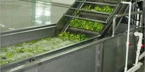 Vegetable Processing Plant