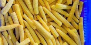 Frozen Baby Corn