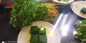 Frozen Fenugreek Leaves Cube