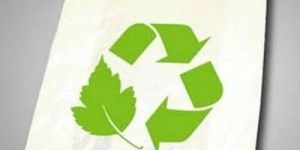 Biodegradable Compostable Carry Corn Starch Bags