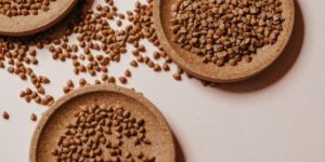Buckwheat Seeds