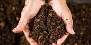 Organic Fertilizers and Manure