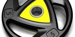 Rubber Round Triangle 3 Cut Weight Plate