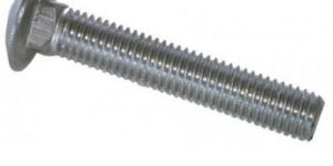 Stainless Steel Carriage Bolt