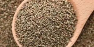 Celery Seeds