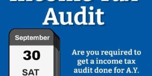 Income Tax Audit Service