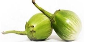 Fresh Green Round Brinjal