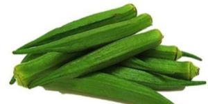 Fresh Long Bhindi