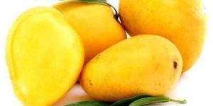 Fresh Mango