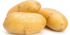 Fresh Potato