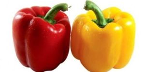 Fresh Yellow Red Capsicum