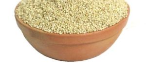 Little Millet Seeds
