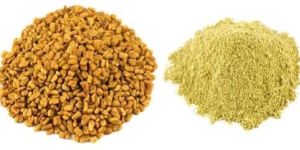 Methi Powder