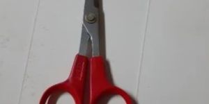 School Scissors