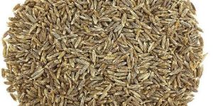 Cumin Seeds
