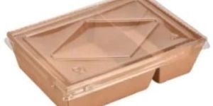 Disposable Food Tray with Lid