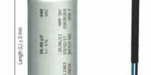 Capacitor
