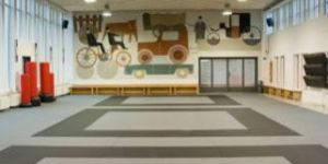 Aerobic Flooring Installation Services
