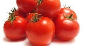 Fresh Tomato