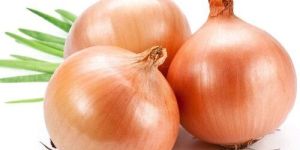 Fresh Yellow Onion
