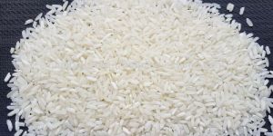 IR 64 Rice