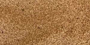 Amaranth Ramdana Grains