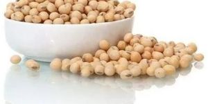 Soybean Seeds
