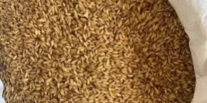 Whole Grain Oats