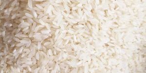 Sona Masoori Steam Rice