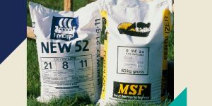 PP Woven Fertilizer Bag