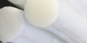 Nylon Bristles