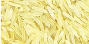 Sugandha Golden Sella Non Basmati Rice