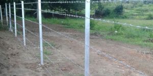 Wire Fencing Service