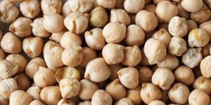 White Chana