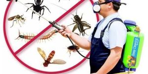 Pest Control Service