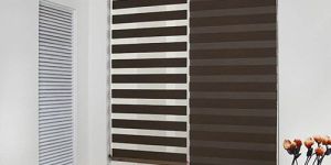 Zebra Window Blinds