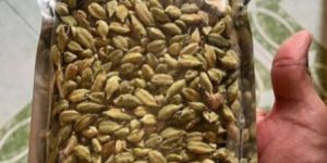 Green Cardamom