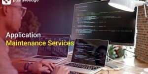 Application Management Services