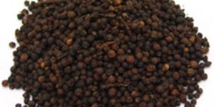 Black Pepper